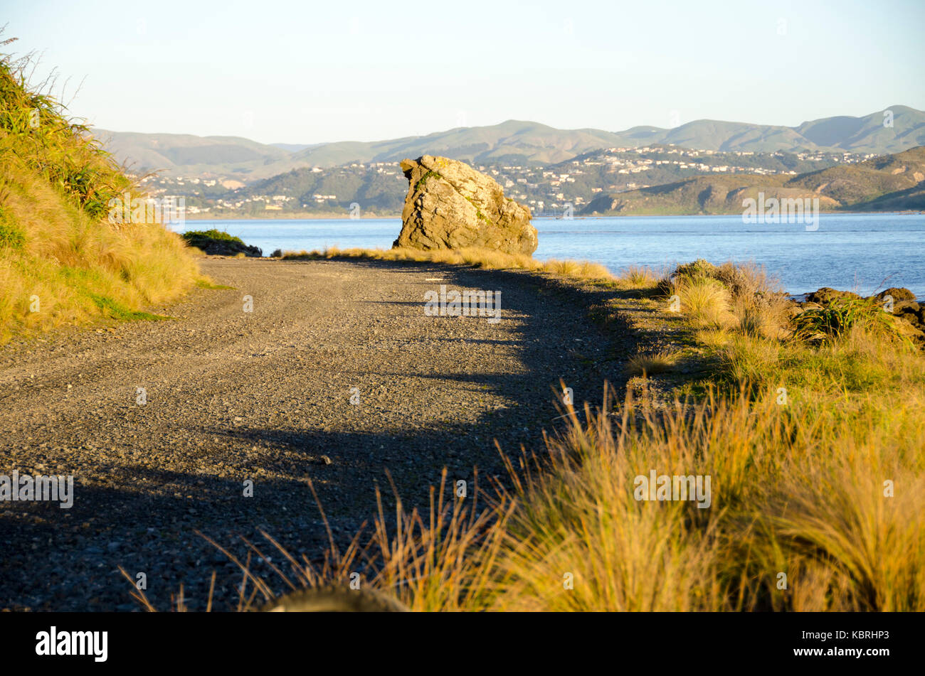 Kiesweg neben Meer, Plimmerton, Porirua, Wellington, Neuseeland Stockfoto