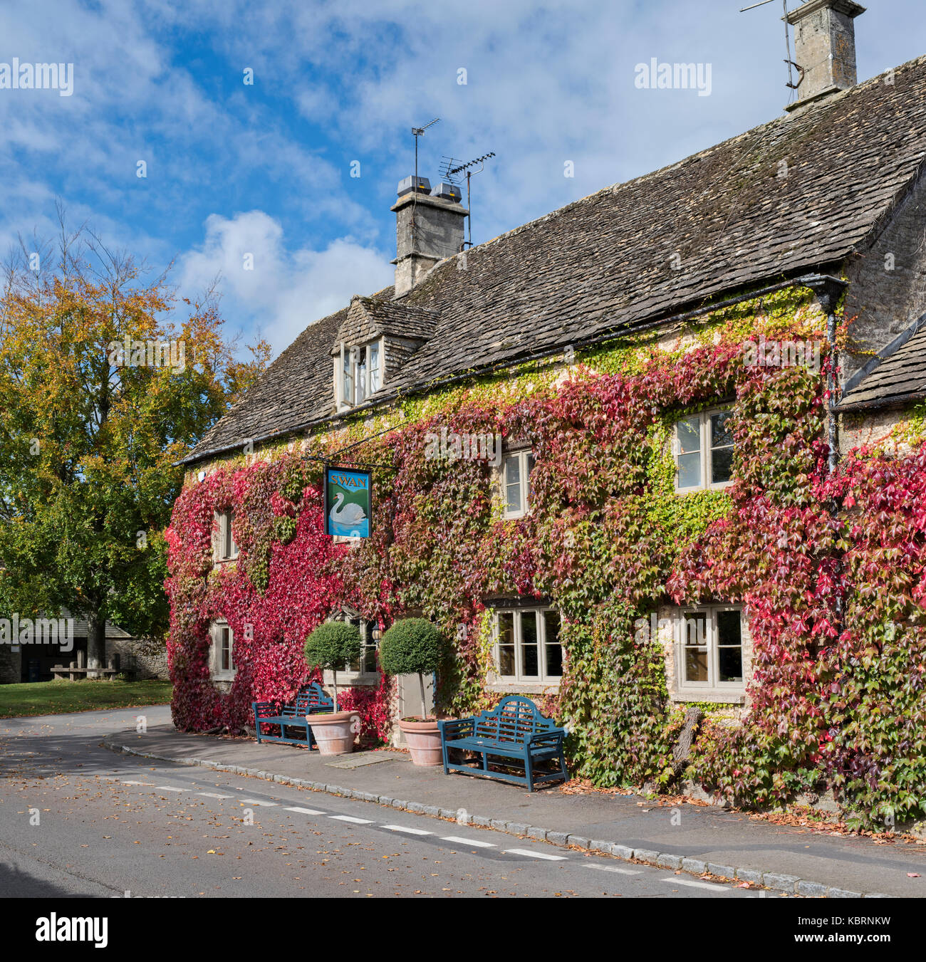 Parthenocissus Tricuspidata. Boston Ivy/Japanische Kriechgang an den Wänden des Schwans Country Inn in Southrop. Cotswolds, Gloucestershire, England Stockfoto