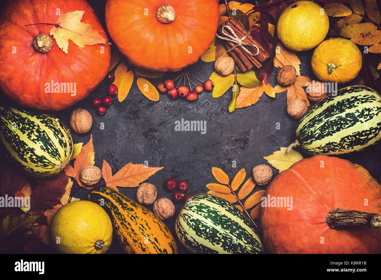 Herbst Ernte Kürbis thanksgiving Zusammensetzung auf schwarzem Hintergrund. Stockfoto