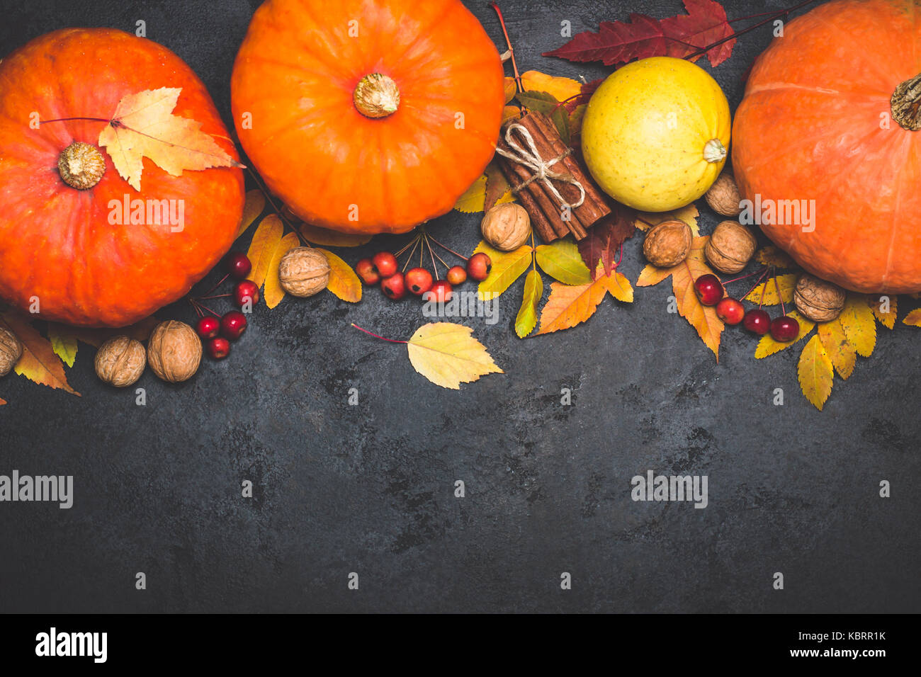 Herbst Ernte Kürbis thanksgiving Zusammensetzung auf schwarzem Hintergrund. Stockfoto