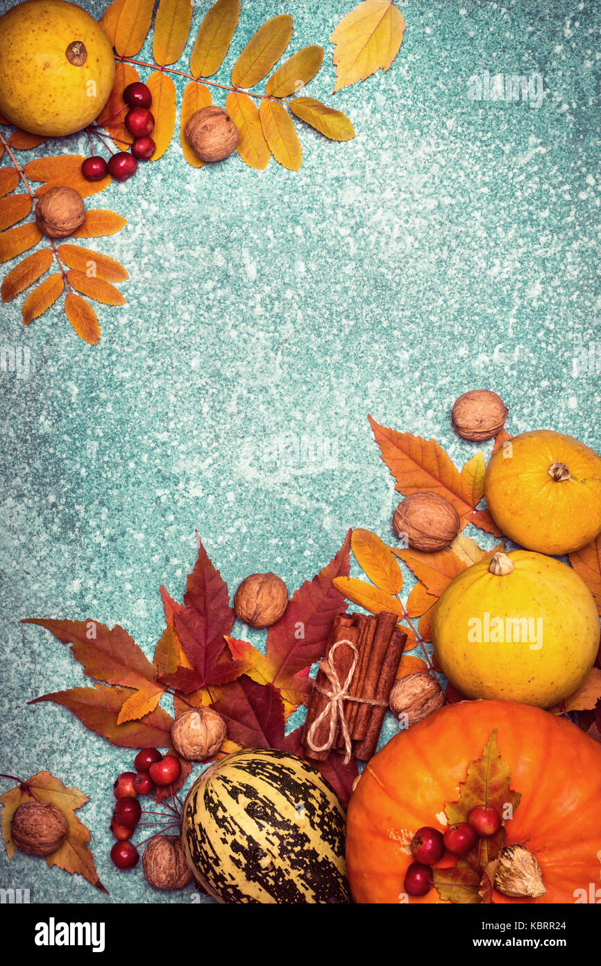 Herbst Ernte Kürbis Thanksgiving Rahmen auf einem blauen Hintergrund. Stockfoto