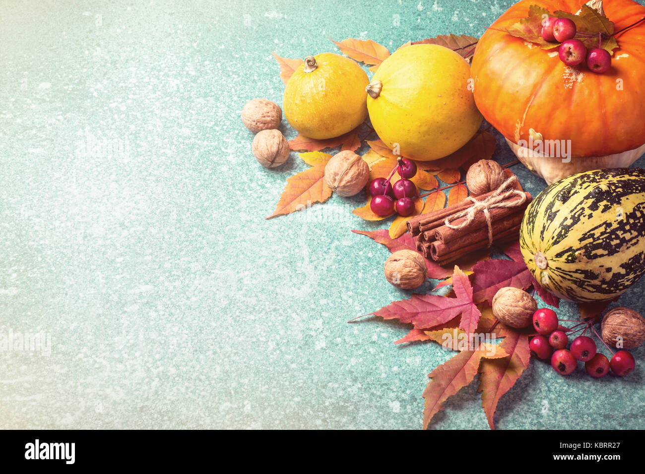 Herbst Kürbis Thanksgiving Zusammensetzung auf blauem Hintergrund. Stockfoto