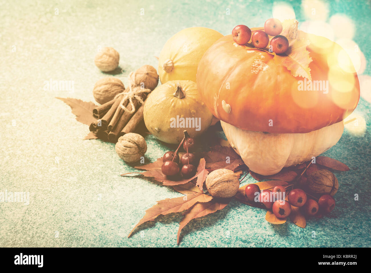 Herbst Kürbis Thanksgiving Zusammensetzung mit Blättern und Nüssen. Stockfoto