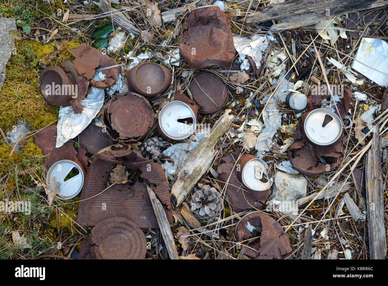 Rostige alte Blechdosen verstreut auf Waldboden Stockfoto