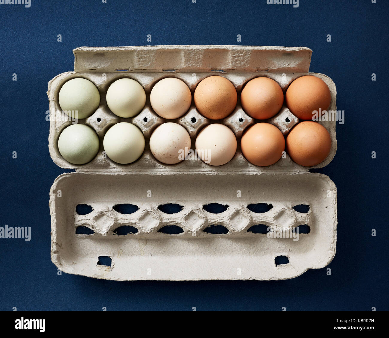 Huhn Eier von verschiedenen natürlichen Farben in einem Karton auf einem Marine Hintergrund Stockfoto