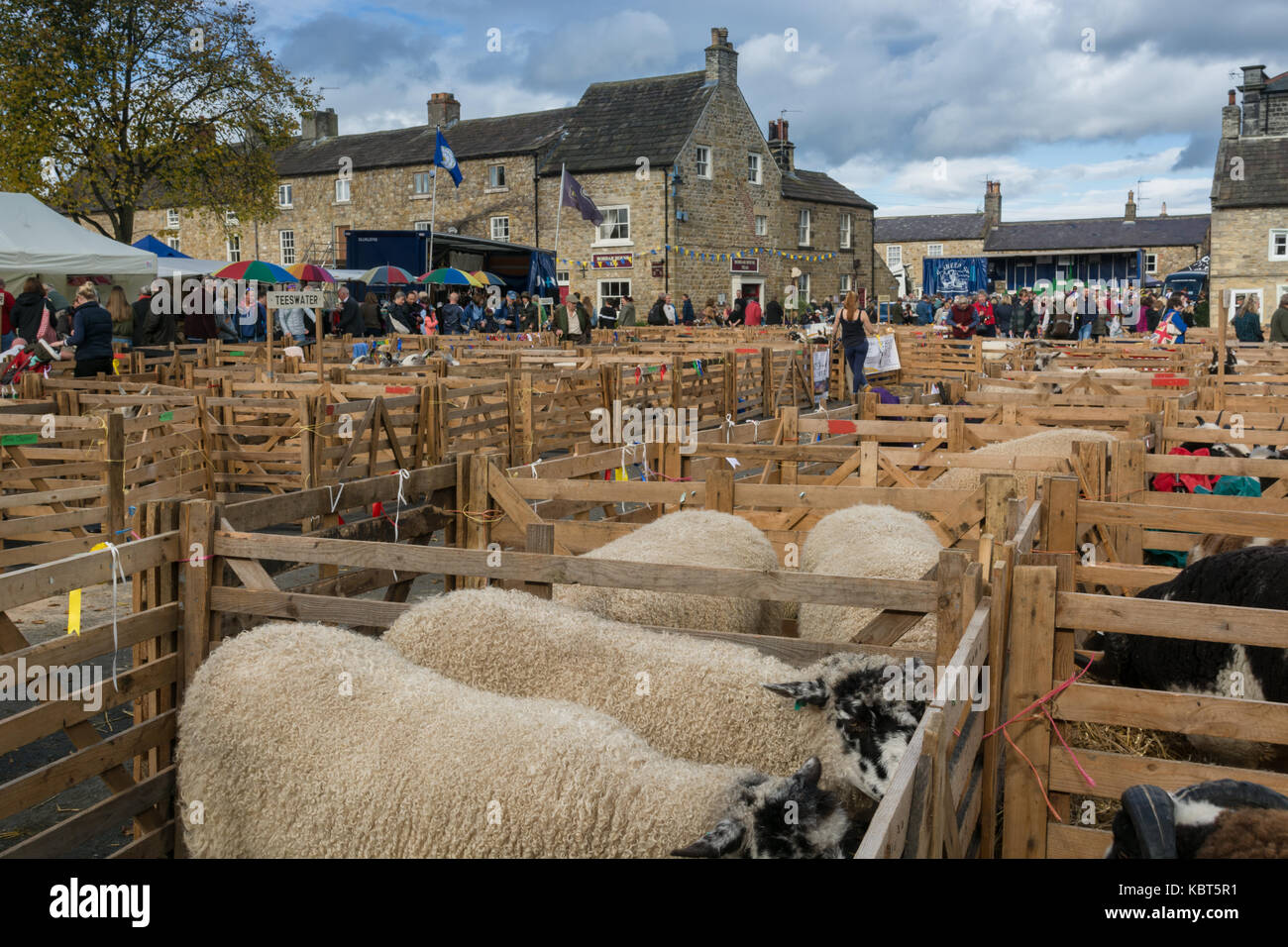 Masham, North Yorkshire, UK 30. September 2017. Die masham historischen Schafe Messe statt über 2 Tage jedes Jahr in den Städten Marktplatz sieht, Konkurrenten und Richter aus England, Schottland, Irland und Wales. Andrew Fletcher/Alamy leben Nachrichten Stockfoto