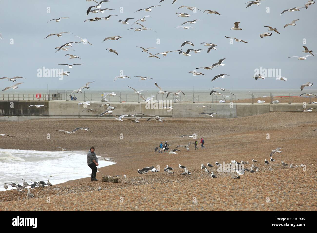 Hastings, East Sussex, UK. 1. Oktober 2017. Lokale Fischer gesehen wird, ziehen die Reste für die Möwen zu füttern. Regen und Wind ist für den Rest des Tages in diesem Badeort prognostiziert. Höhen von 17c erwartet. Foto Paul Lawrenson/Alamy leben Nachrichten Stockfoto