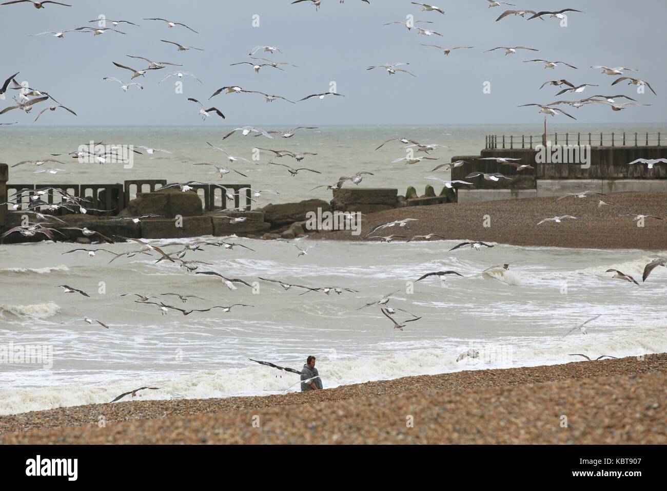 Hastings, East Sussex, UK. 1. Oktober 2017. Lokale Fischer gesehen wird, ziehen die Reste für die Möwen zu füttern. Hunderte von Möwen schweben in der Luft, auf dem Hintergrund der rauen See. Regen und Wind ist für den Rest des Tages in diesem Badeort prognostiziert. Höhen von 17c erwartet. Foto Paul Lawrenson/Alamy leben Nachrichten Stockfoto