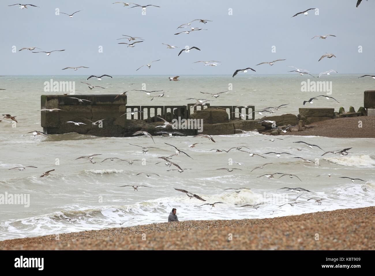 Hastings, East Sussex, UK. 1. Oktober 2017. Lokale Fischer gesehen wird, ziehen die Reste für die Möwen zu füttern. Regen und Wind ist für den Rest des Tages in diesem Badeort prognostiziert. Höhen von 17c erwartet. Foto Paul Lawrenson/Alamy leben Nachrichten Stockfoto