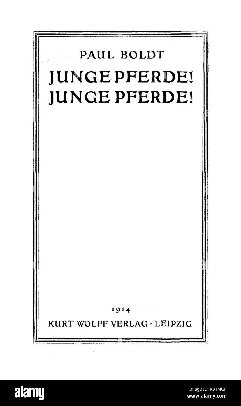 De Boldt Junge Pferde, 01. Stockfoto