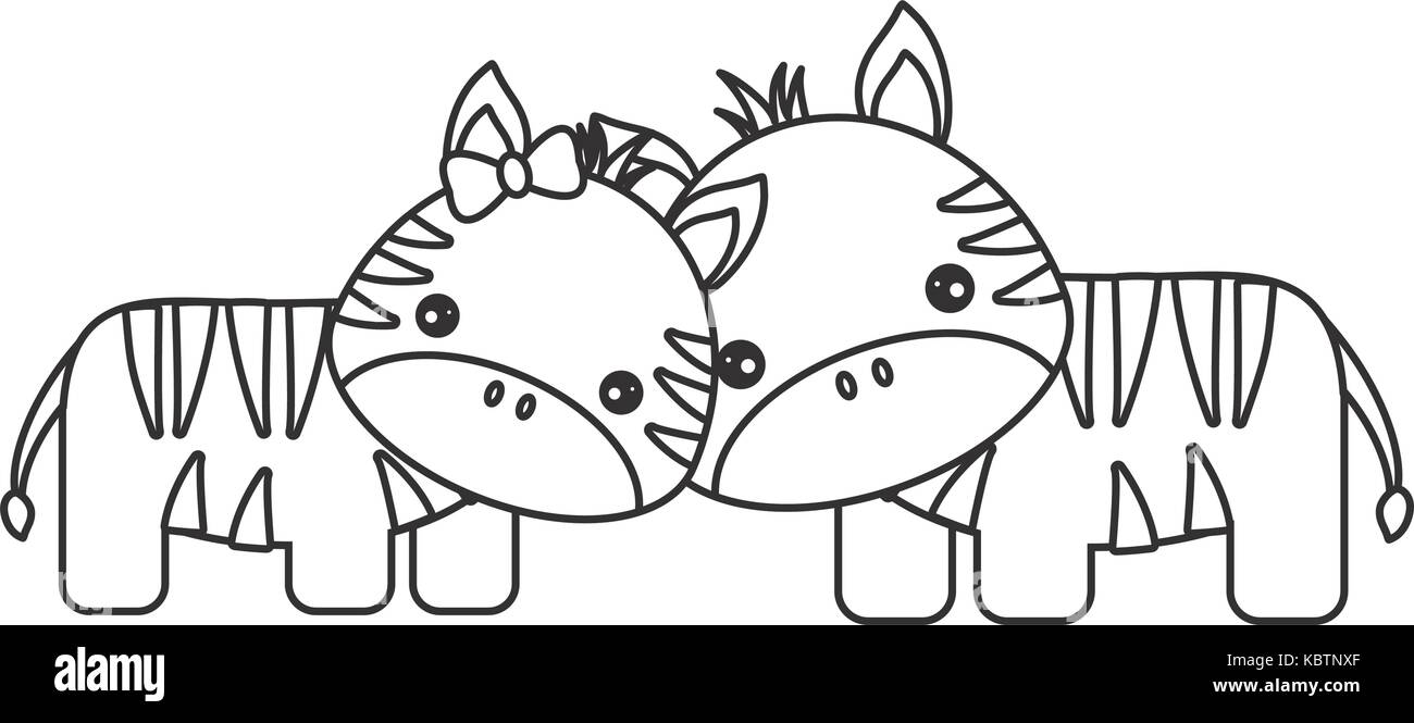 Nettes Paar von Zebras Symbol auf weißem Hintergrund Vector Illustration Stock Vektor