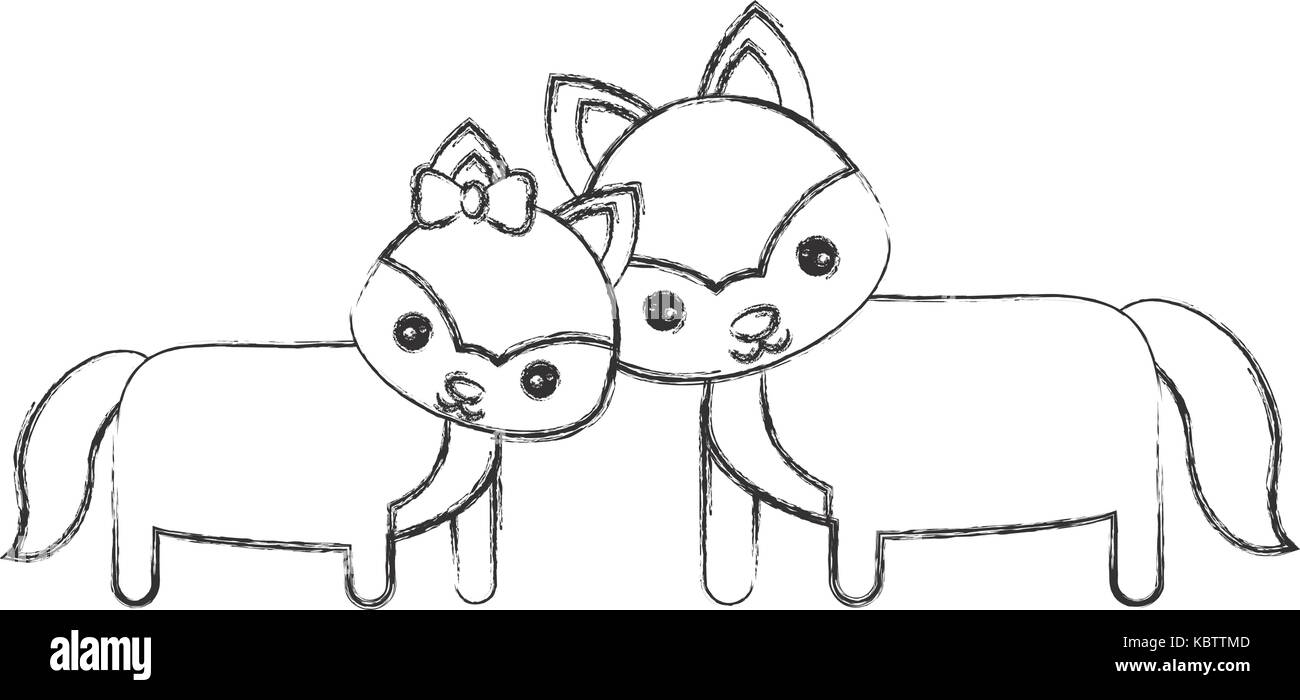 Nettes Paar von füchsen Symbol auf weißem Hintergrund Vector Illustration Stock Vektor