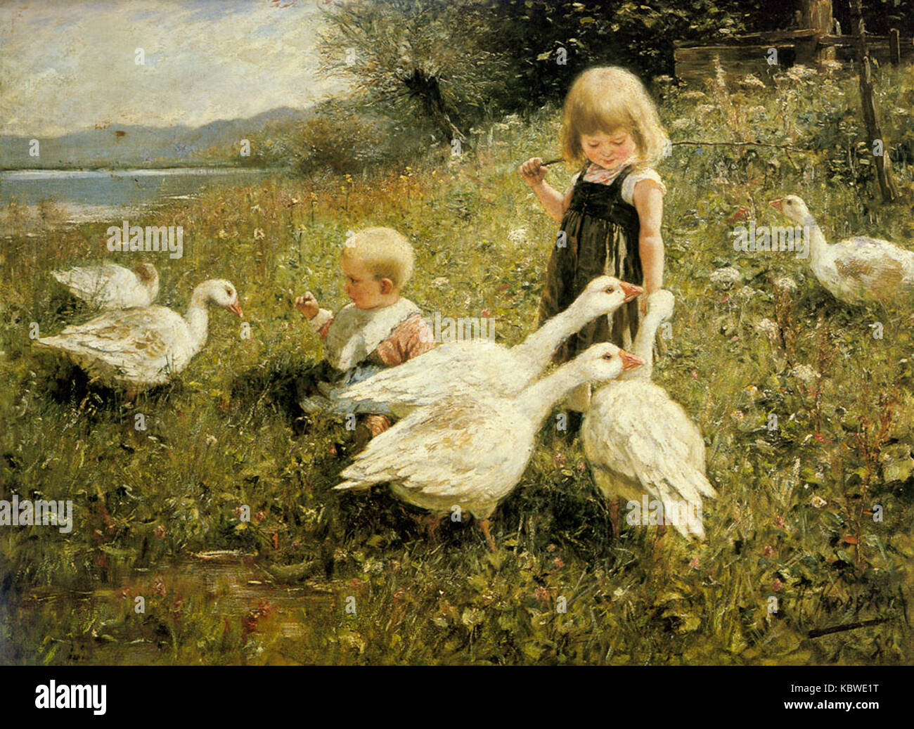 Köster Alexander Max Gansefutterung Stockfoto