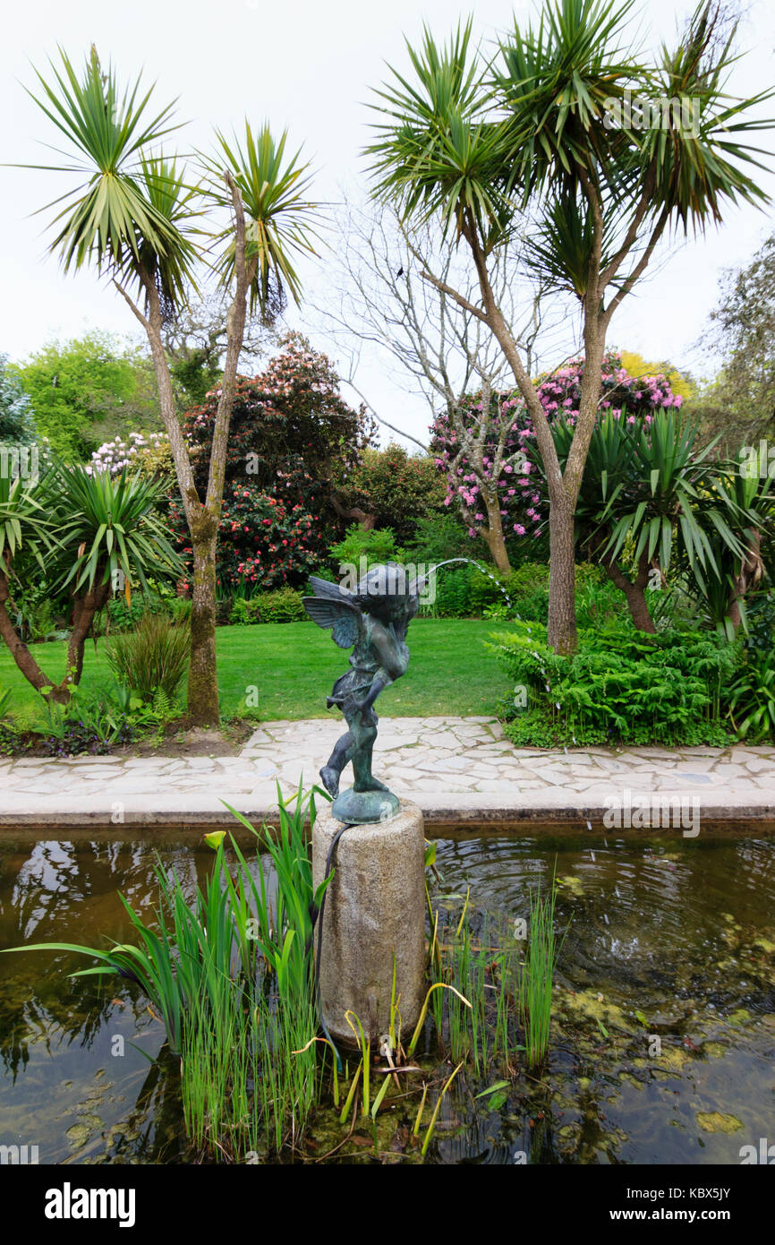 Cornwall cordyline australis Fotos und Bildmaterial in hoher