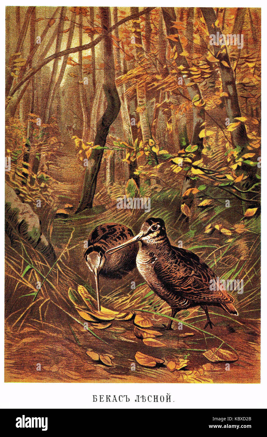 Brockhaus und Efron enzyklopädische Wörterbuch b6 481 0 Stockfoto