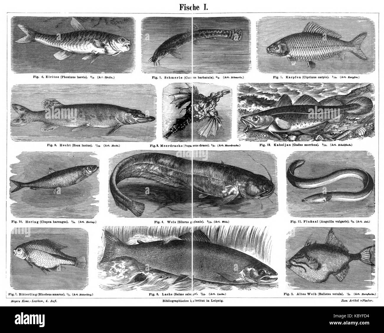 Meyers b6s 0298 a Stockfoto