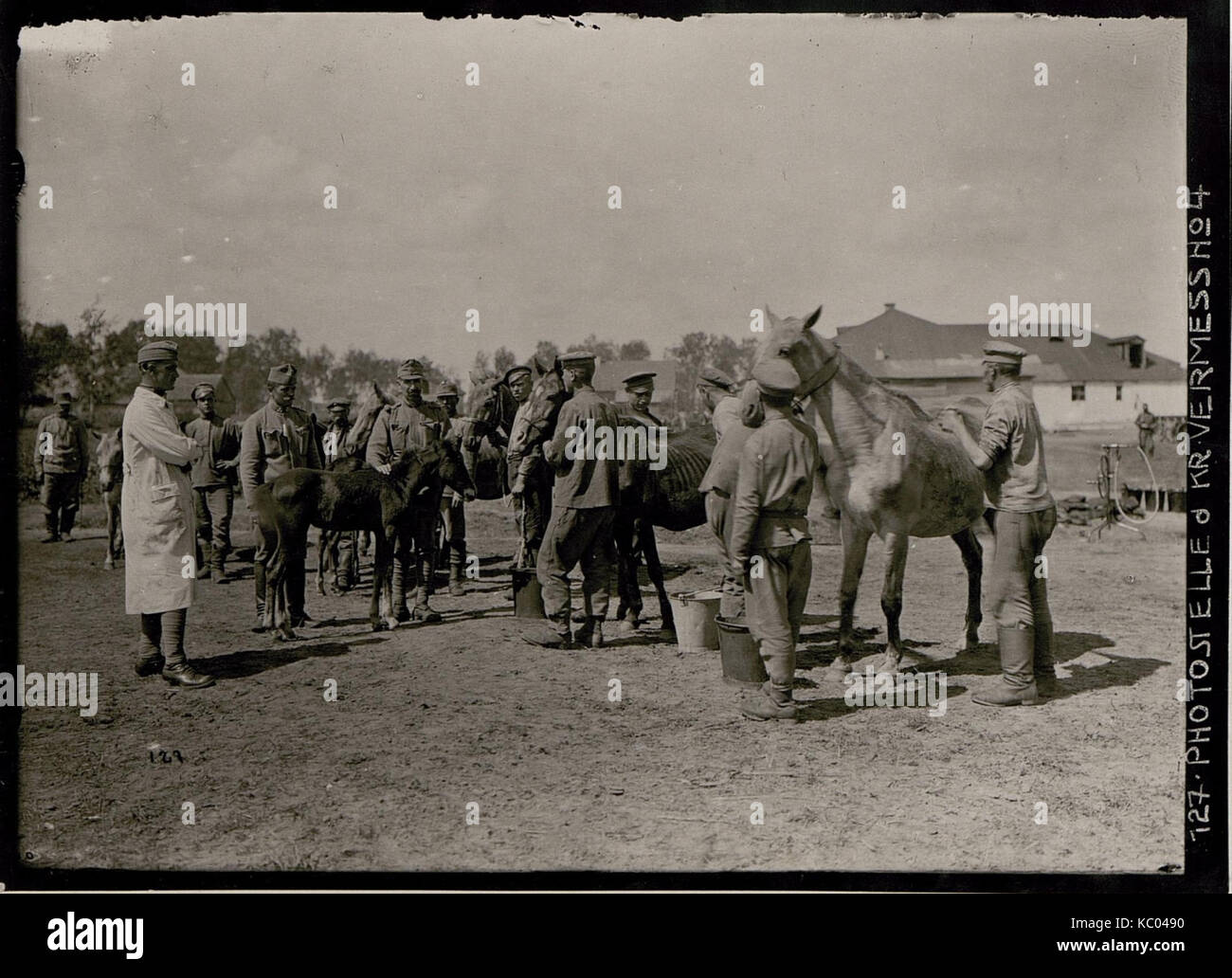 Kowel, BildID Pferdespital (15737889) Stockfoto