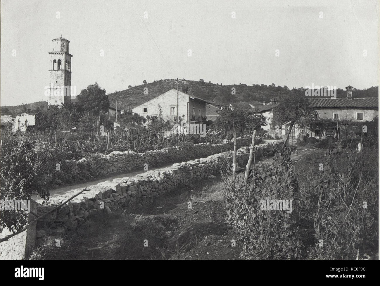 Skonik 20.7.17. (BildID) 15604359 Stockfoto