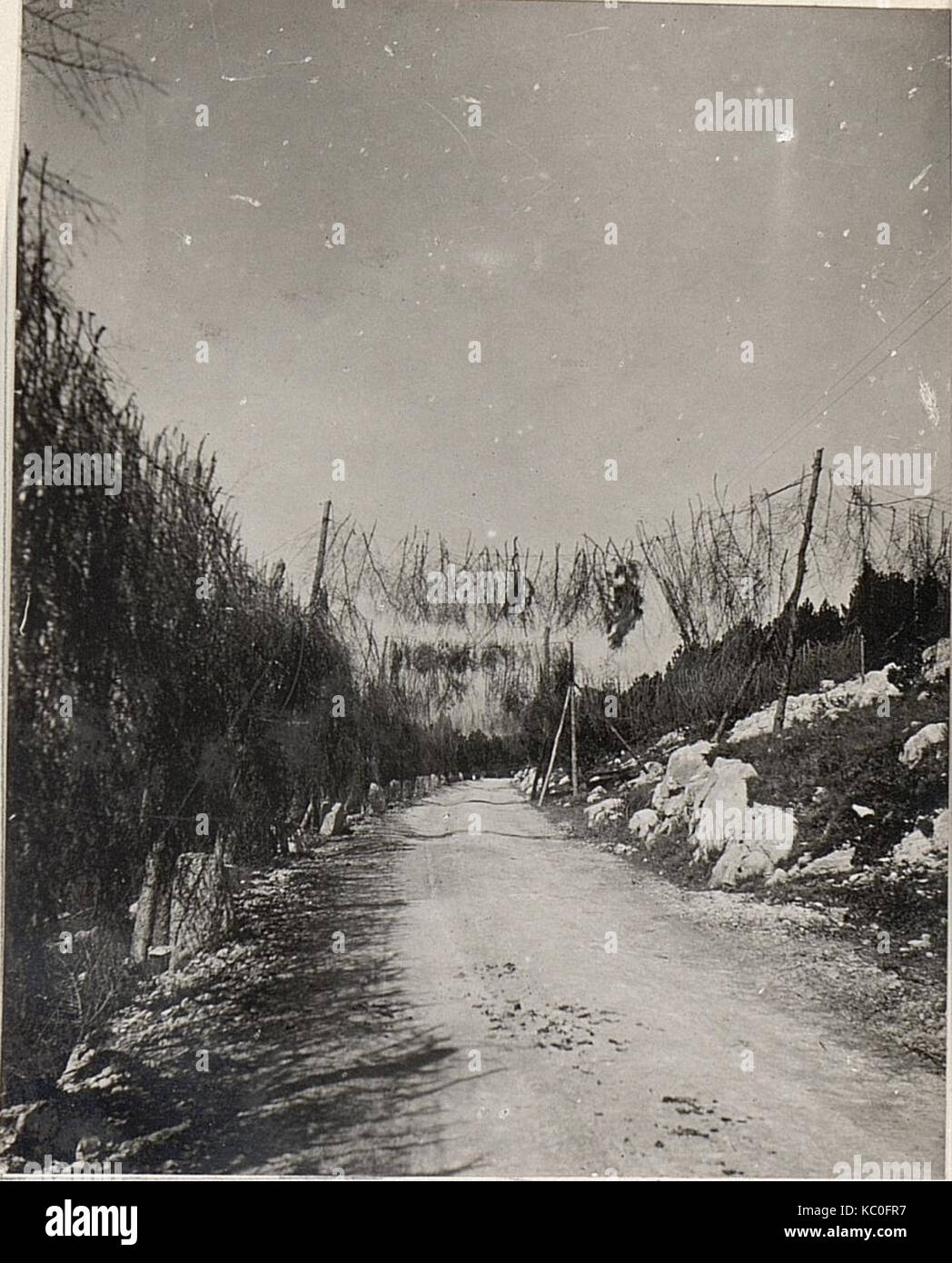 Maskierte Straße im Wippachtal. 30.8.17. (BildID) 15600578 Stockfoto