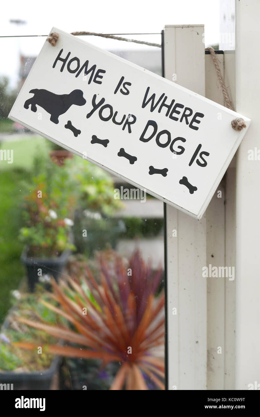 Zuhause ist, wo Ihr Hund am Fenster mit Blick auf Garten ist Stockfoto