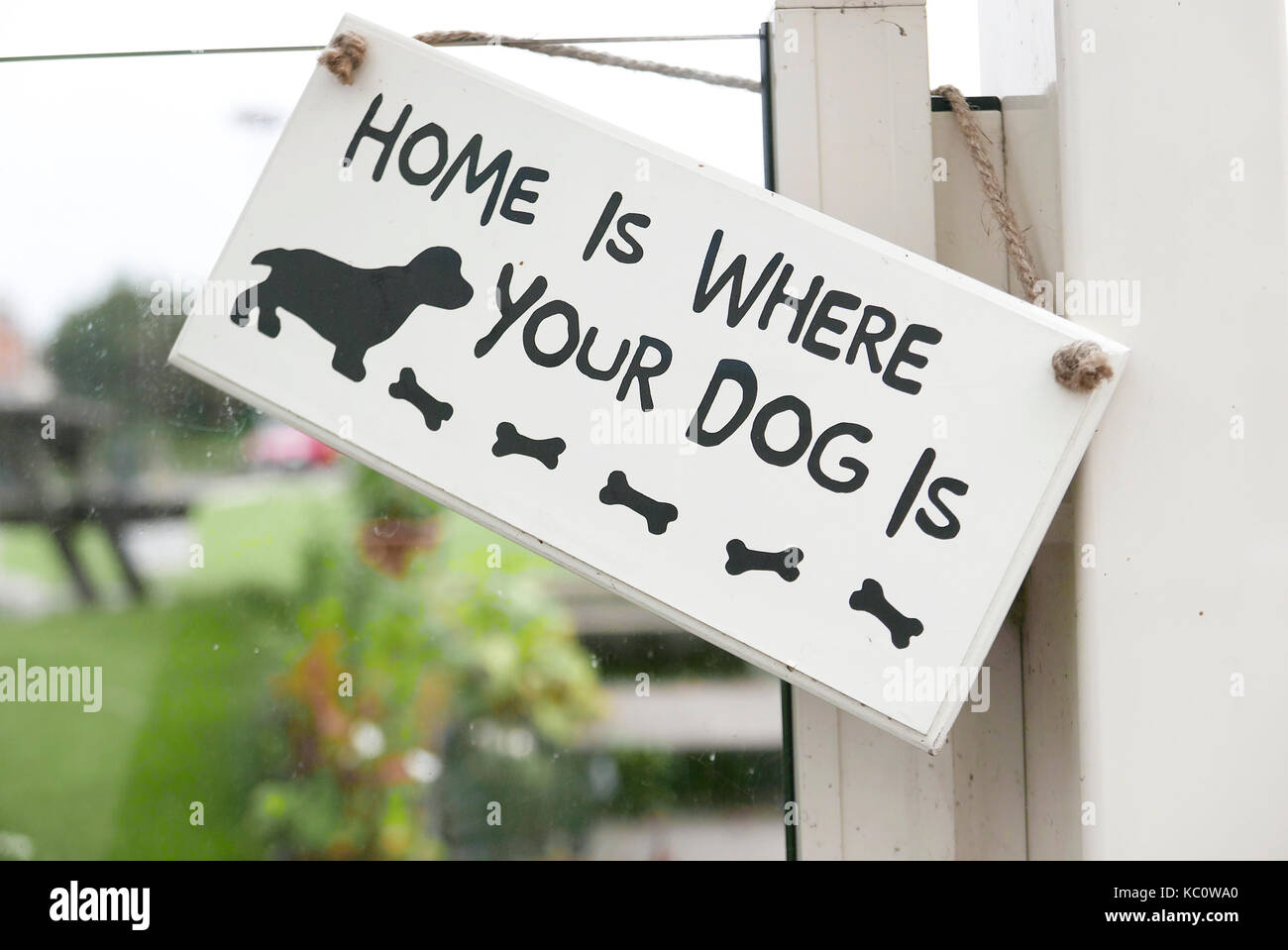 Zuhause ist, wo Ihr Hund am Fenster mit Blick auf Garten ist Stockfoto