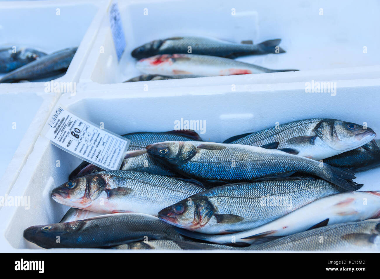 PRIMOSTEN, KROATIEN - Sep 5, 2017: Frischer Fisch in Kisten zum Verkauf in Primosten, Dalmatien, Kroatien. Stockfoto
