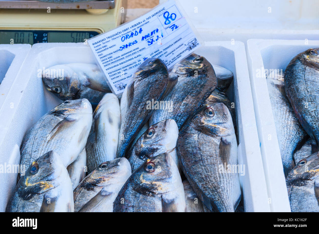 PRIMOSTEN, KROATIEN - Sep 6, 2017: Frischer Fisch in Kisten zum Verkauf in Primosten, Dalmatien, Kroatien. Stockfoto