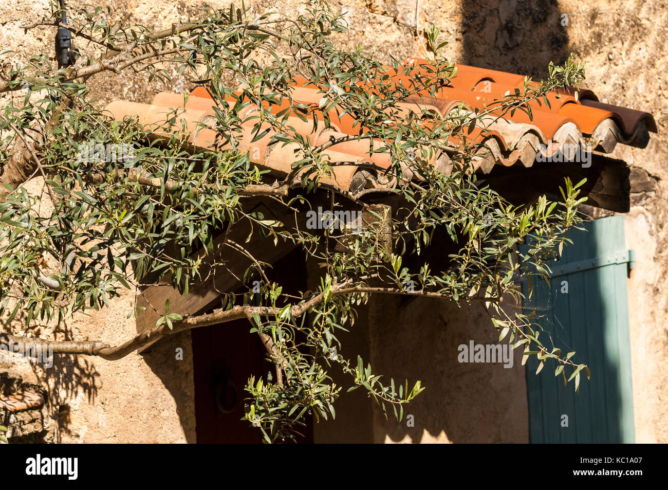 Dorf Cotignac Provence Verte Provence/Alpes Cote D'Azur, Var Frankreich (83), Stockfoto