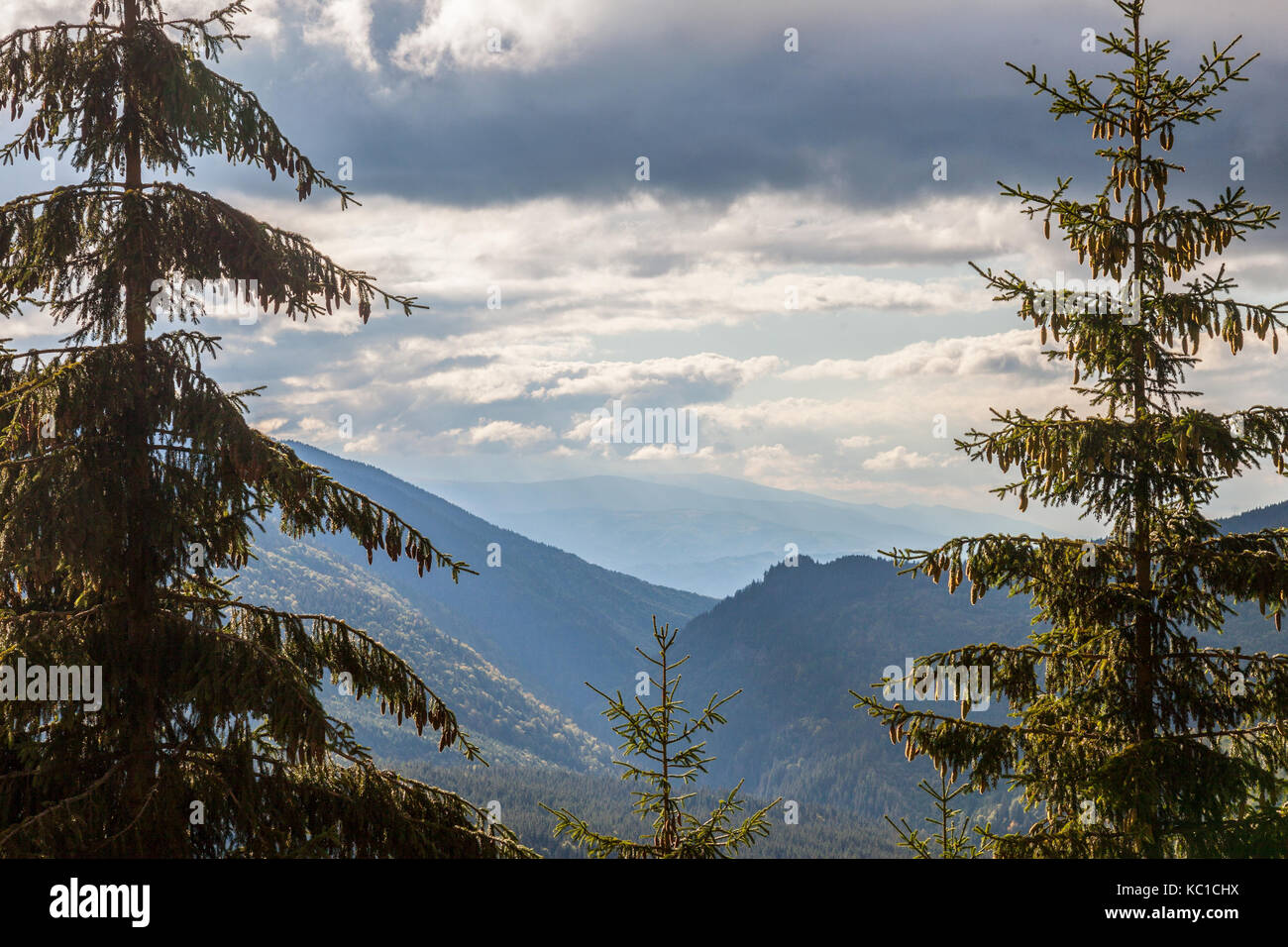 Tanne und anderen Kiefern auf Berge an einem bewölkten Ende Sommer/Herbst Nachmittag überhängenden ein Tal in den Transsylvanischen Alpen, in der Mitte des Romani Stockfoto