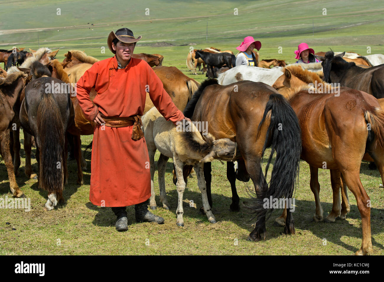 Junge shephard bringt Fohlen zu einer Stute für Säuglinge, Mongolei Stockfoto