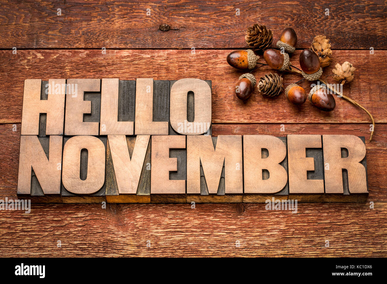 Hallo November Grußkarte - Buchdruck Holz Bausteine gegen gemasertem Holz mit acorn Dekoration Stockfoto