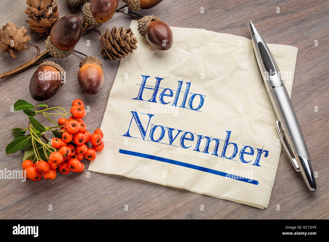 Hallo November Handschrift auf eine Serviette mit Konus, Eichel und firethorn Saison Dekoration Stockfoto