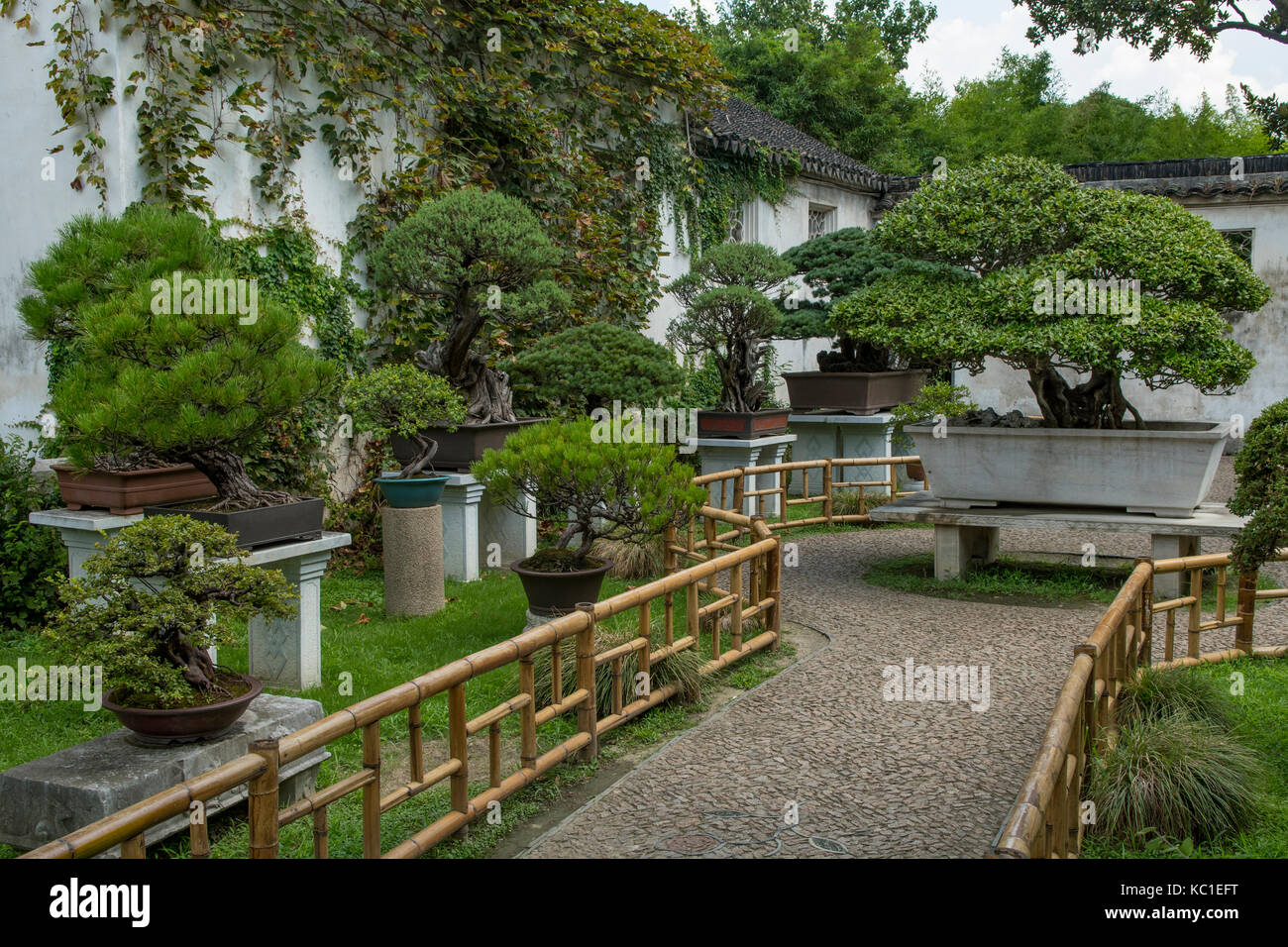 Bonsai Garten, den Lingering Garten, Suzhou, China Stockfoto