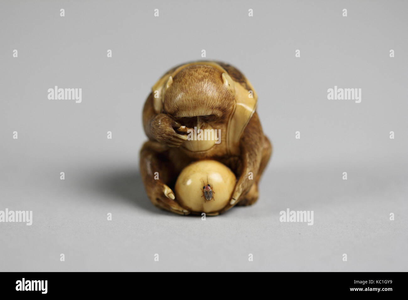 Netsuke von Affen an eine Fliege durch ein Vergrößerungsglas, 19. Jahrhundert Stockfoto
