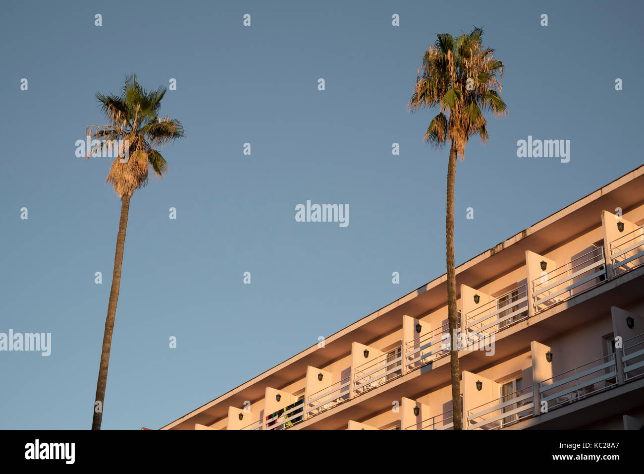 Palmen gegen einen klaren blauen Himmel außerhalb des Guitart Rosa Hotel, Lloret de Mar Stockfoto