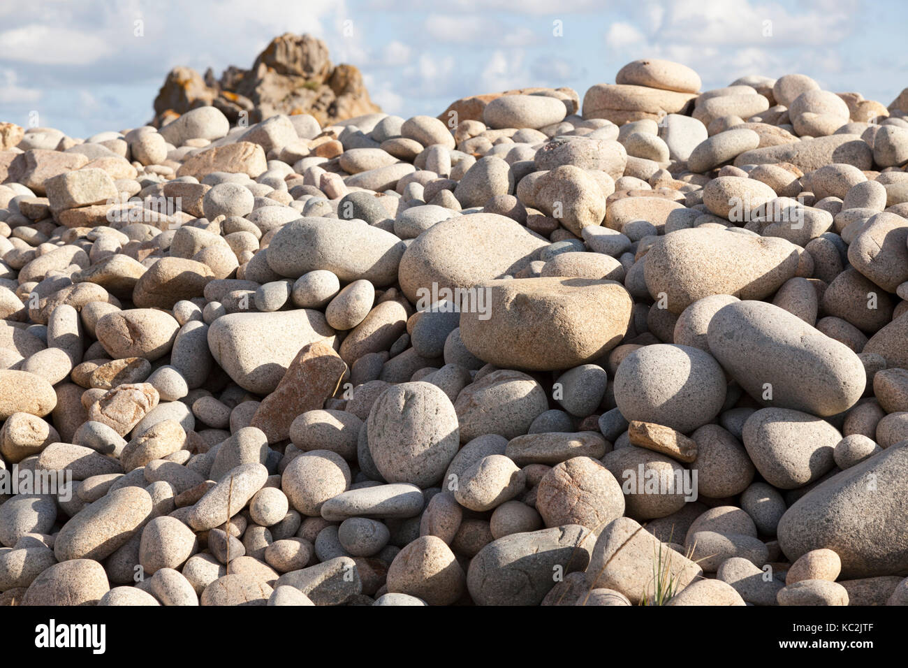 Bilden ein zwei Meter hoher Sea Wall, ein Haufen Kieselsteine durch Unwetter an der Nordwestküste der Insel Bréhat (Bretagne - Frankreich). Stockfoto