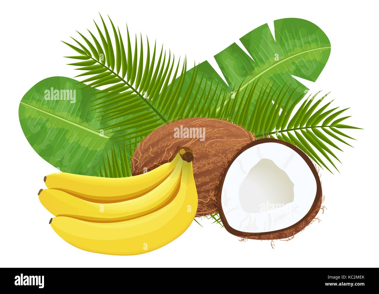 Reif und Saft Bananen und Kokosnüsse mit Palmblättern. Vector Illustration jungle Motiv Stock Vektor