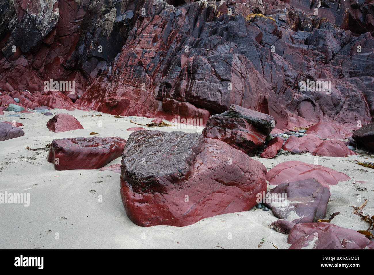 Red Stone Felsen an Caerfai Bay in der Nähe von St Davids in Pembrokeshire, West Wales, Großbritannien Stockfoto