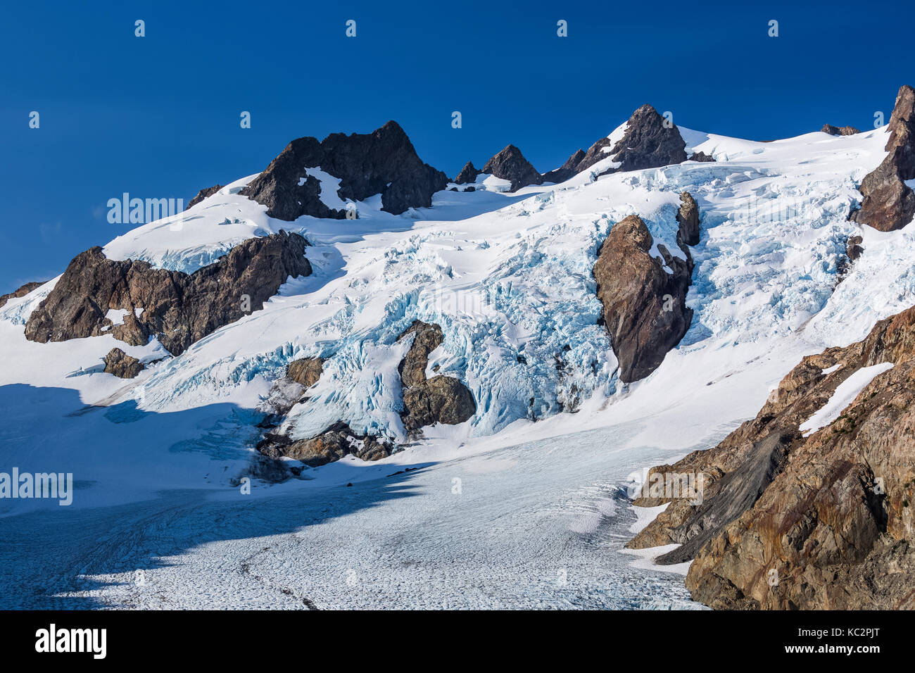 Blaue Gletscher und der Osten Peak und nahen Gipfel des Olymp in der dramatischen Einstellung am Ende der Hoh River Trail in Olympic National Park, Wa Stockfoto