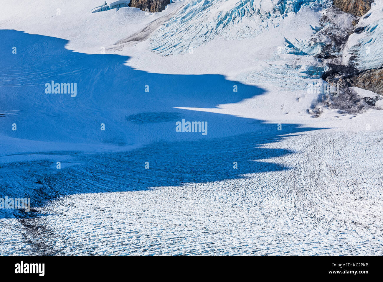 Schatten Kreuzung blaue Gletscher und Gletscher Pass in der dramatischen Einstellung unter den Olymp am Ende der Hoh River Trail in Olympic National Park, Stockfoto