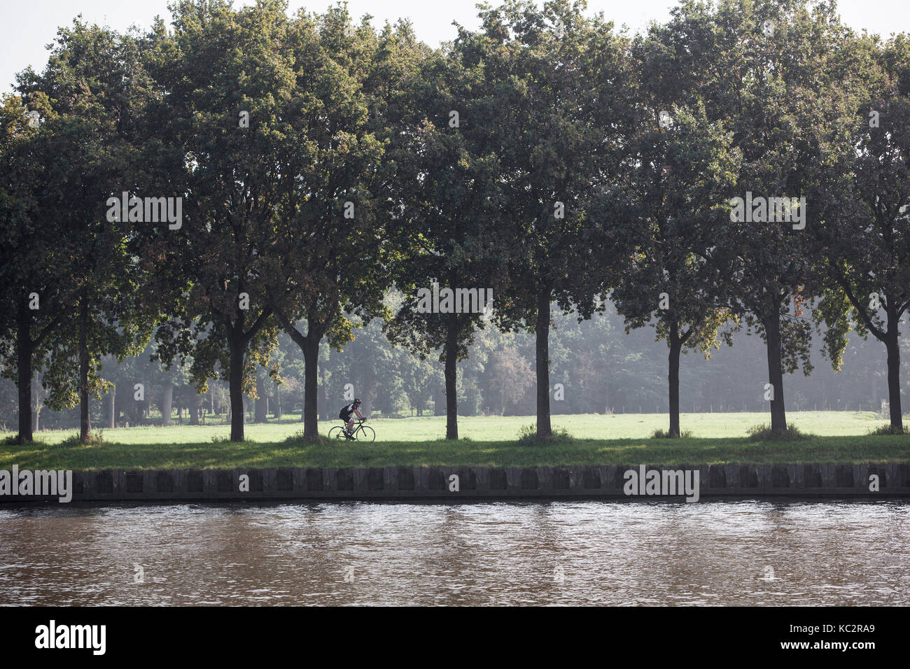 Mann auf Radtouren entlang rijn Amsterdam Canal in Holland zwischen Amsterdam und Utrecht auf sonnigen Sommertag Stockfoto