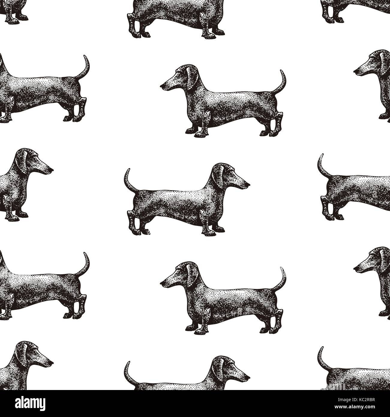 Die nahtlose Vektor Muster mit Hunden. Vector Illustration der Dackel. Hand retro Abbildung gezeichnet. Stock Vektor