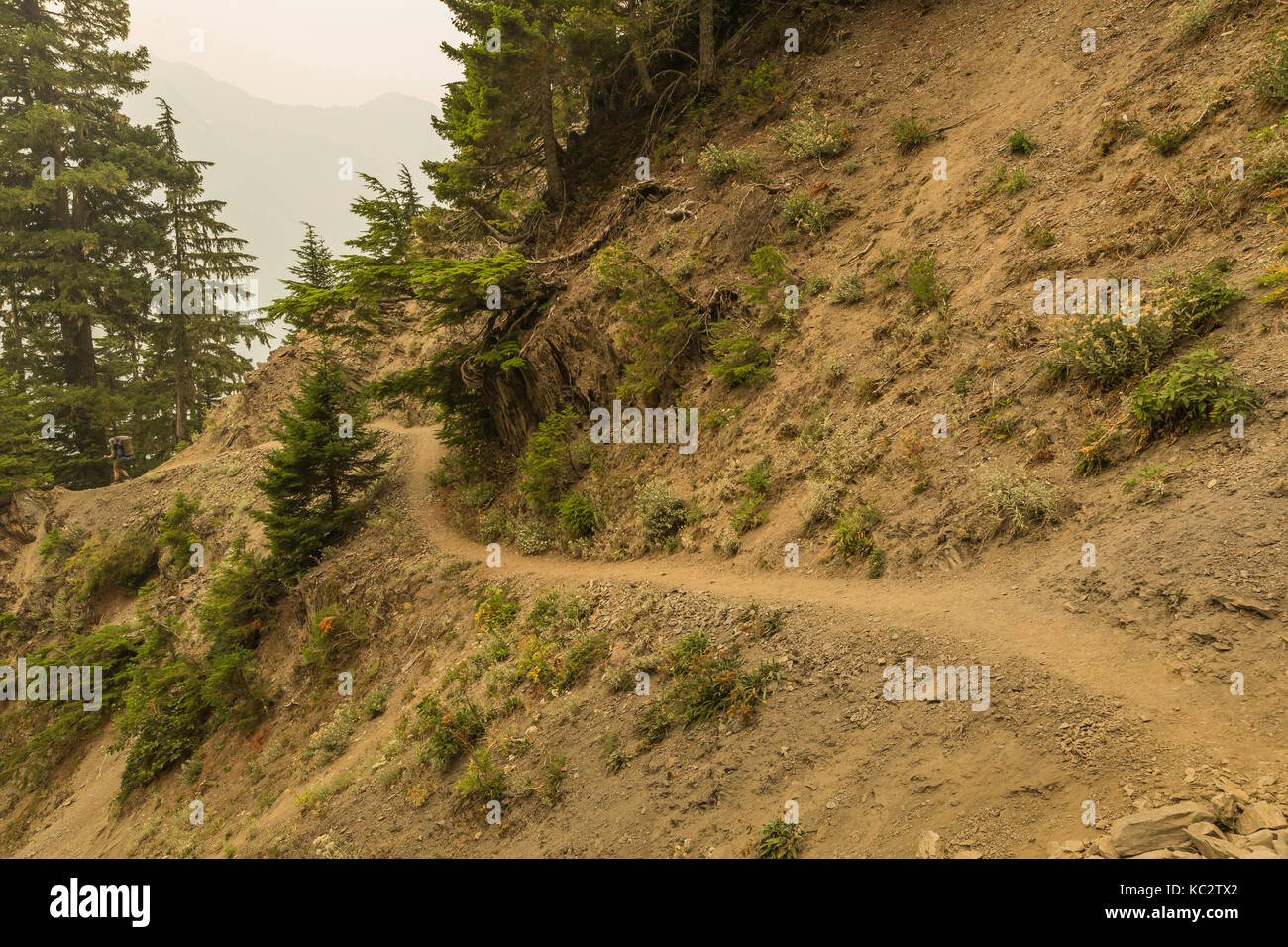 Feuerrauch in der Luft entlang des Hoh River Trail zum Blue Glacier, Olympic National Park, Washington State, USA Stockfoto