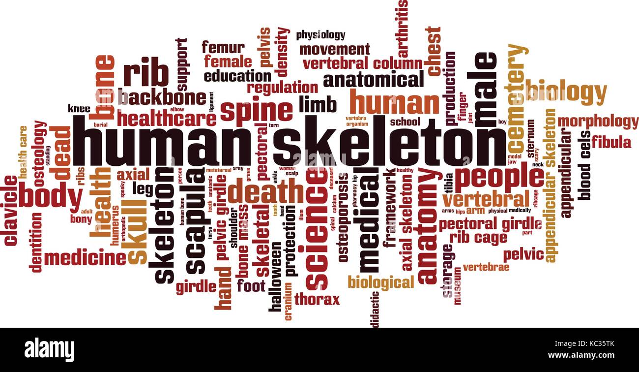 Menschliches Skelett Wort cloud Konzept. Vector Illustration Stock Vektor