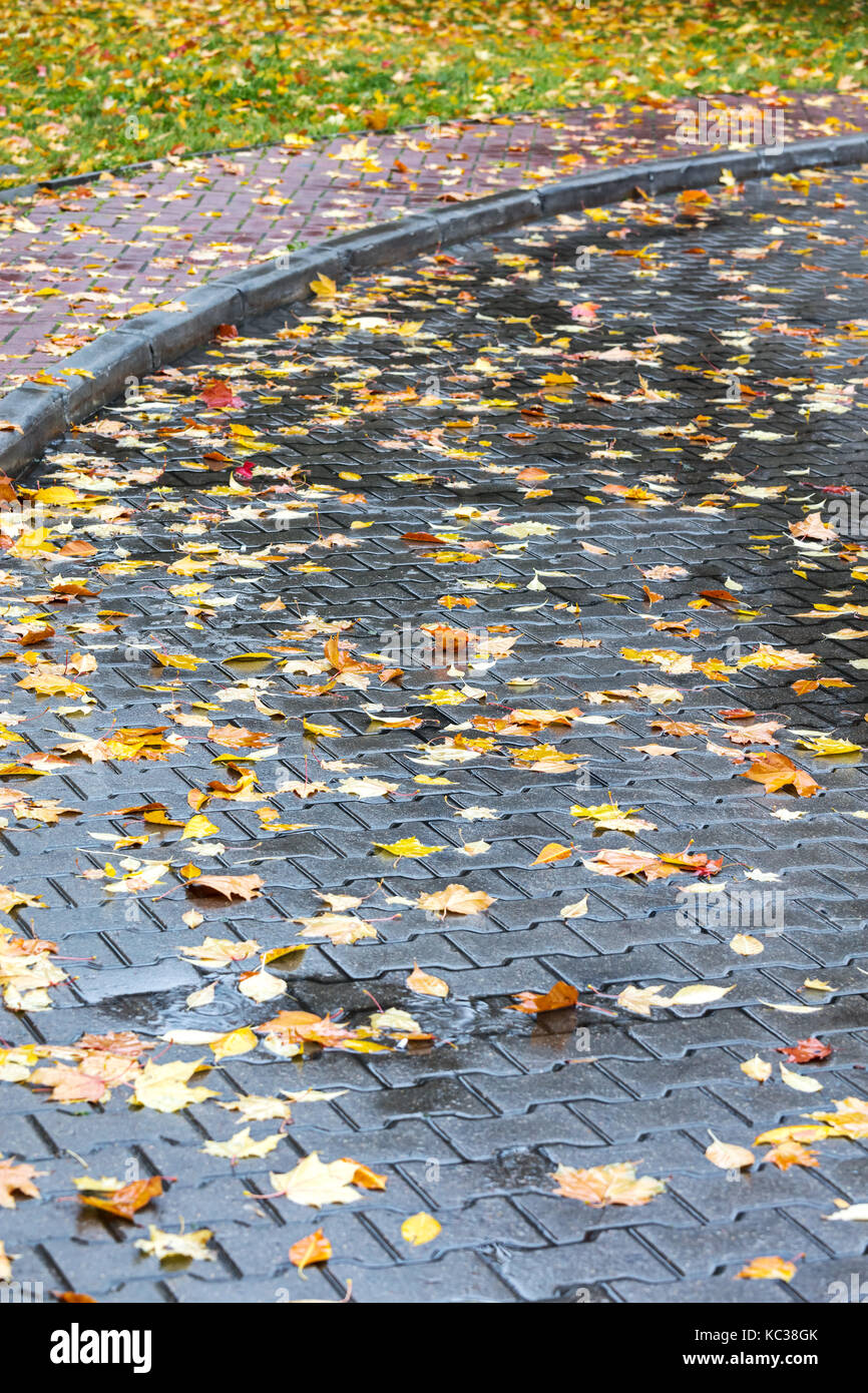 Stadt Bürgersteig im Herbst. gelbe Blätter auf nassem Kopfsteinpflaster Straße. Stockfoto