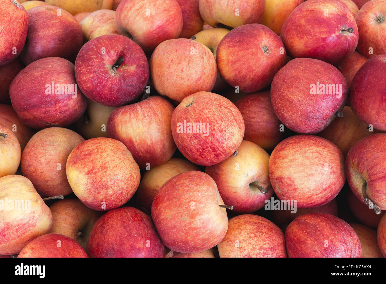 Hintergrund mit Frische und ökologische rote Äpfel Stockfoto