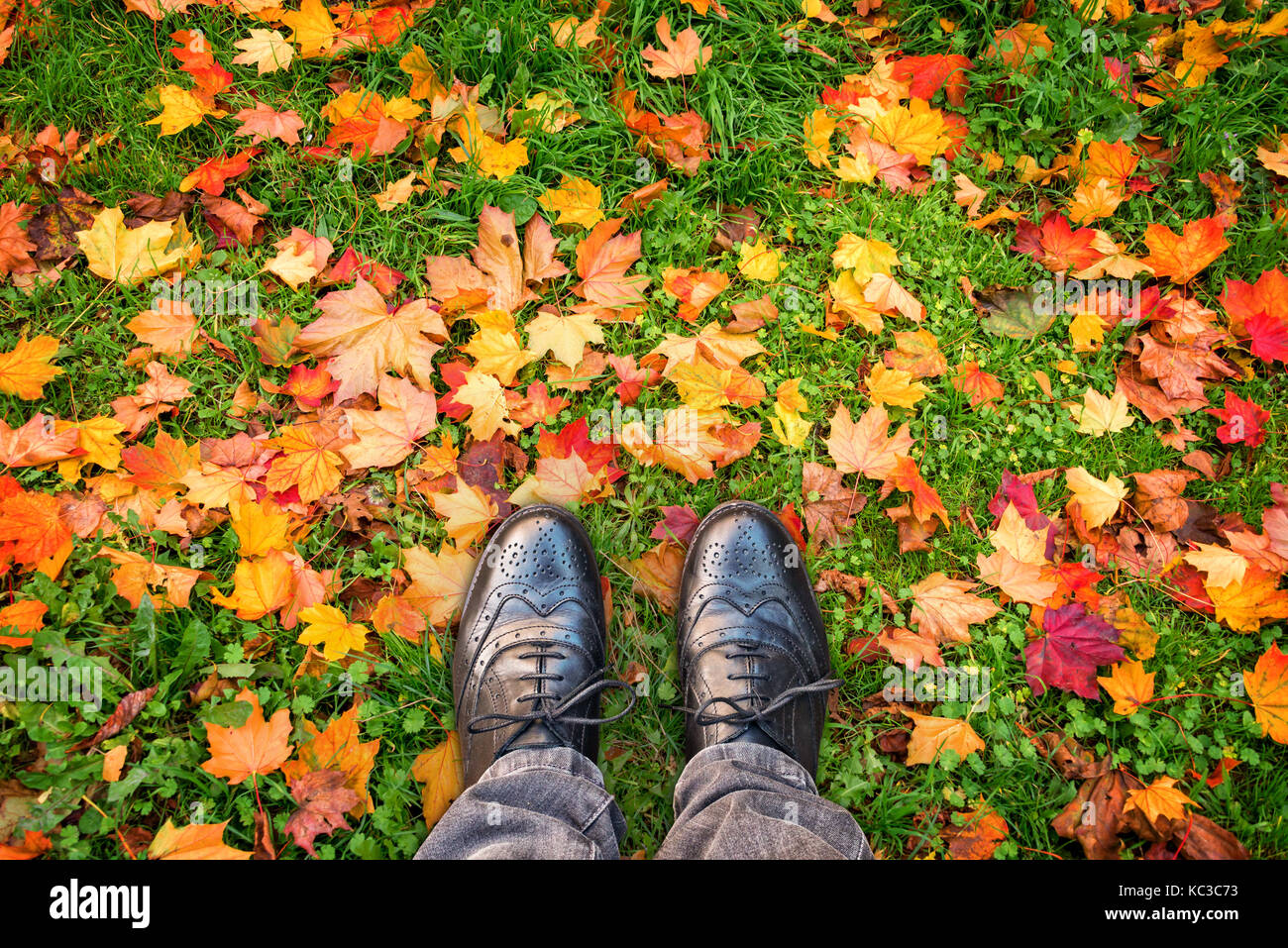 Auf der Suche nach Schuhe, bunte Herbstliche Blätter auf dem Boden, Herbst Konzept Stockfoto