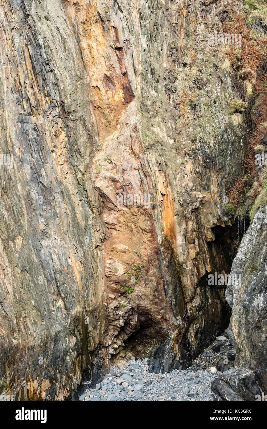 Pwllcrochan Strand an der Küste von Pembrokeshire, Wales, UK. Klippen und Felsen über einem Höhleneingang mit einem Seal pup schlafend auf dem Ufer Stockfoto