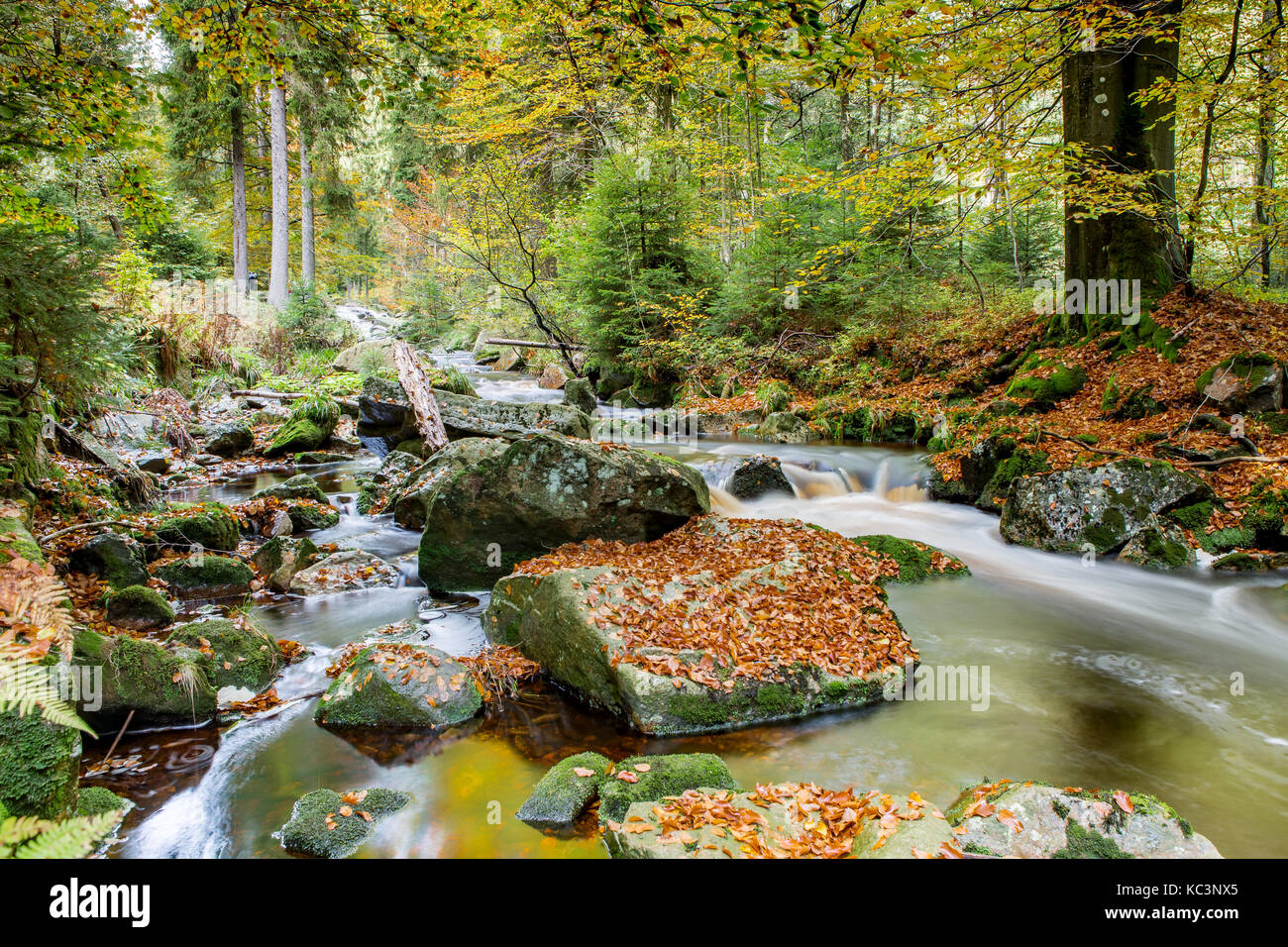 Die Bode im Harz Stockfoto