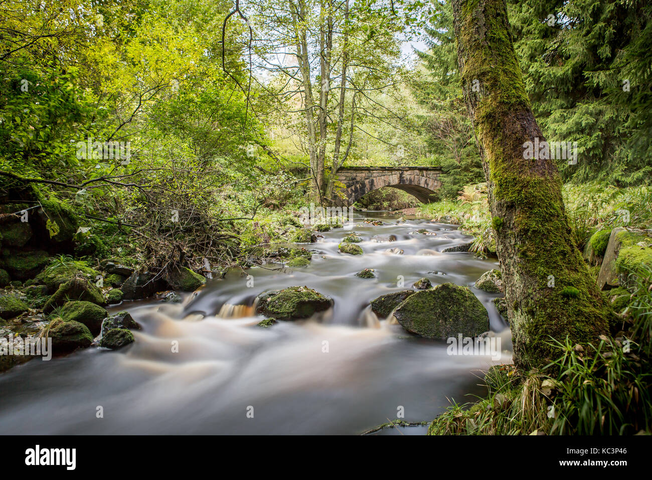 Die Bode im Harz Stockfoto